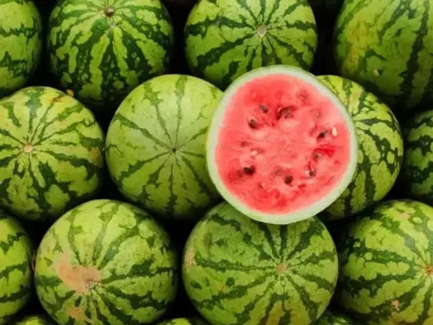 Watermelon (5)