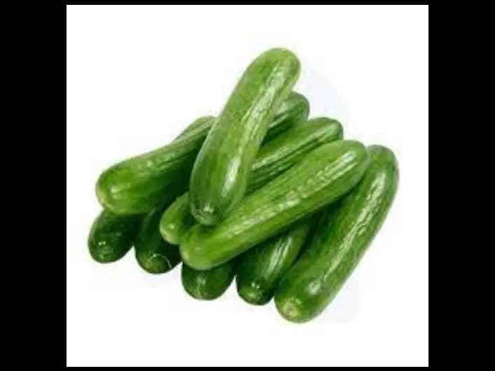 Green Cucumber (2)