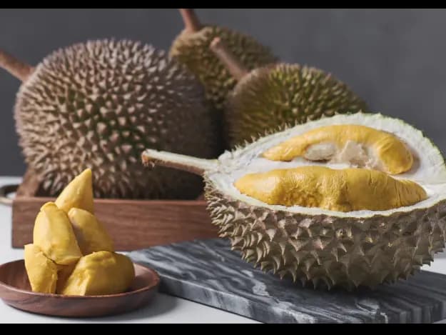 Durian - Pre-order (5)