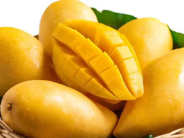 T. J .C. Mango (4)
