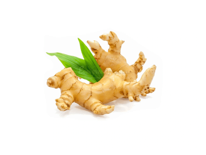Ginger (2)