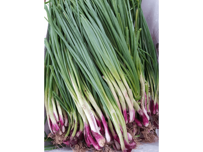 Spring Onion (3)