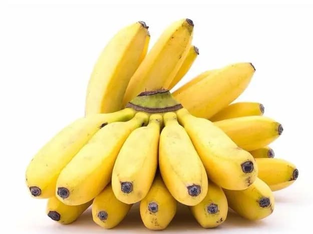 Sugar Plantain (3)