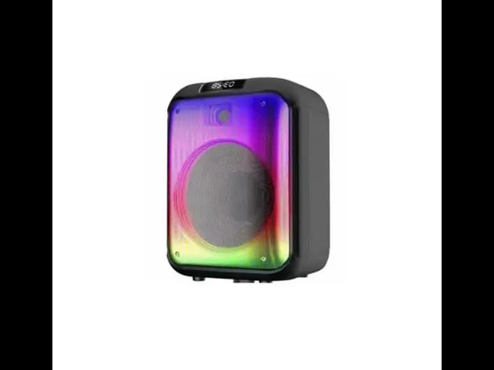 NDR-102B 12 Inch Wireless Bluetooth Speaker with 1 Month Warranty (2)