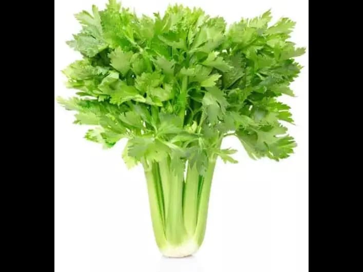 Celery (4)