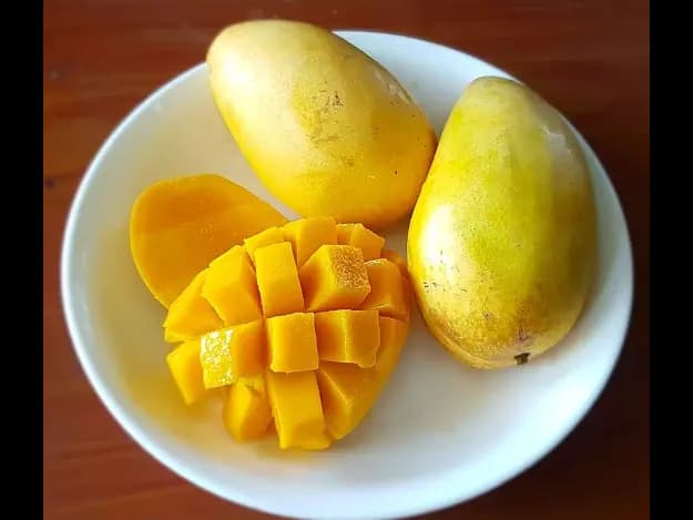 T. J .C. Mango (5)