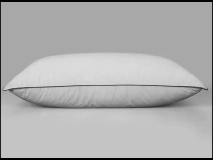 CELCIOUS 18X27 GEL PILLOW - white (2)