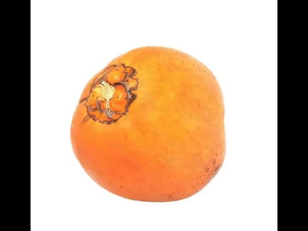 King Coconut (2)