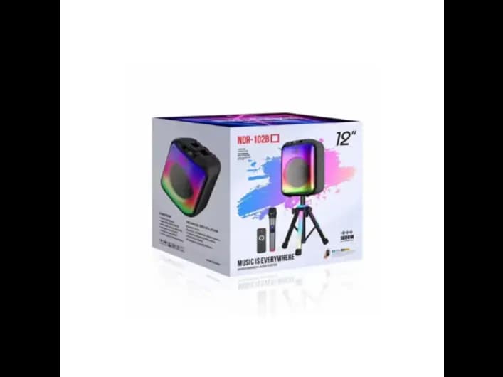 NDR-102B 12 Inch Wireless Bluetooth Speaker with 1 Month Warranty (3)