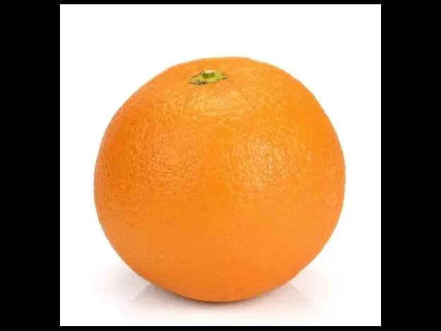 Imported Orange (4)