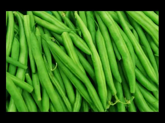 Green Beans (4)