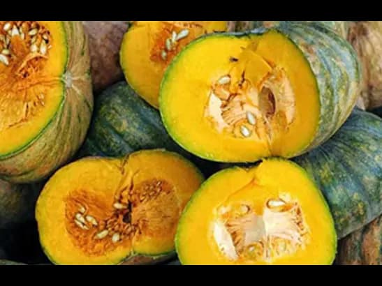 Pumpkin (4)