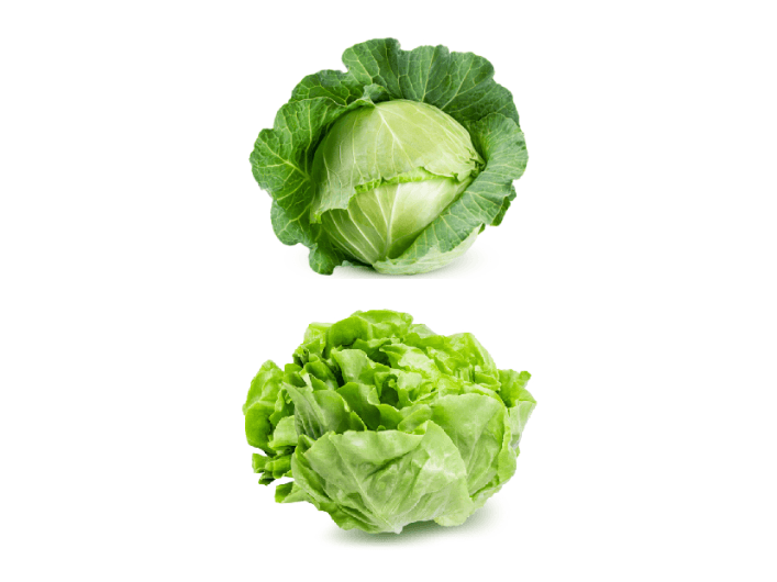Cabbage Leaves (2)
