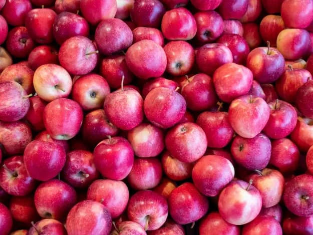 Chinese Fuji Apple (6)