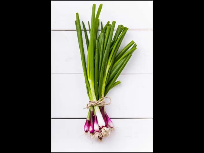 Spring Onion (5)