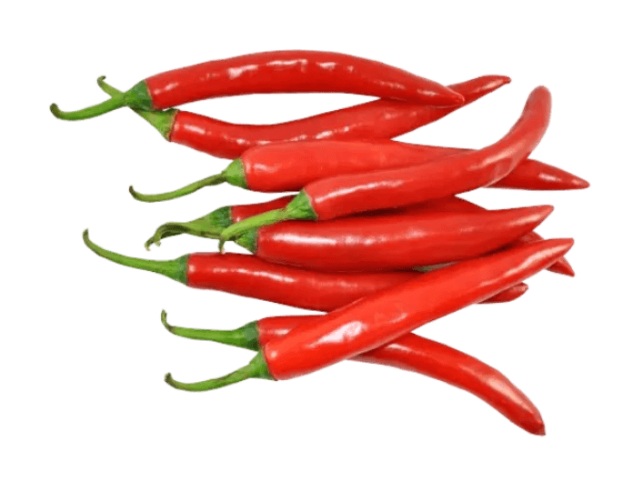 Red Chilli (4)