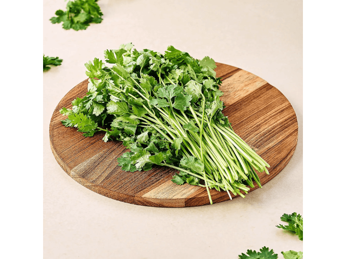 Coriander (4)