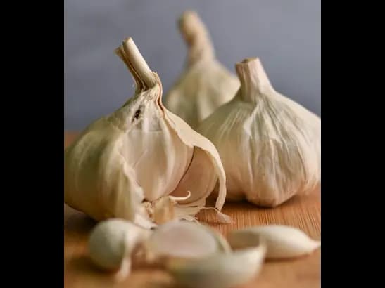 Garlic (4)