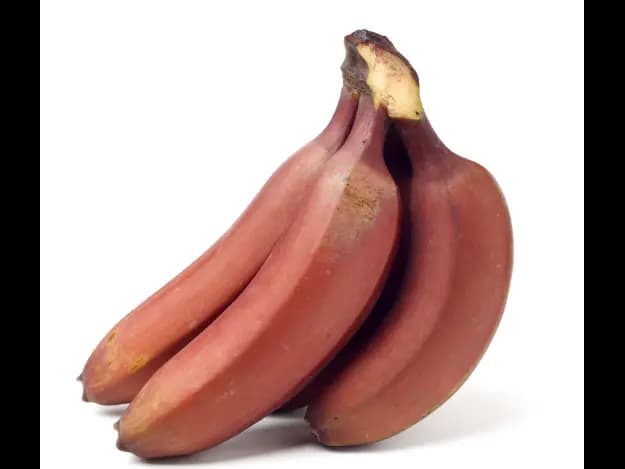 Red Banana (3)