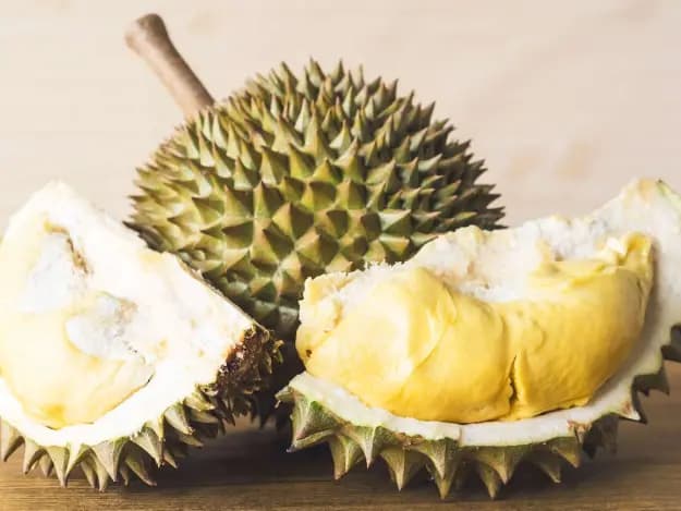 Durian - Pre-order (4)