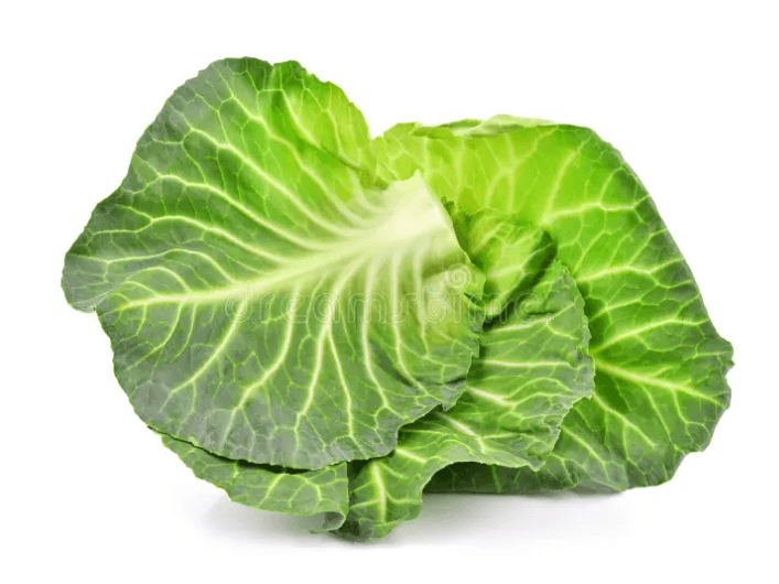 Cabbage Leaves (3)