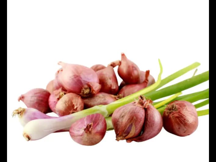 Red onion (3)