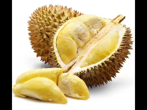 Durian - Pre-order (2)