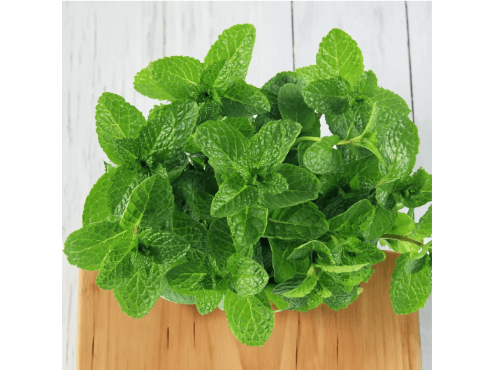 Mint (2)