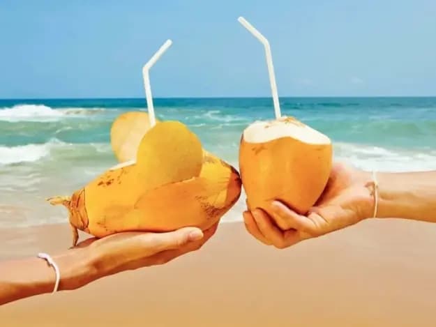 King Coconut (4)