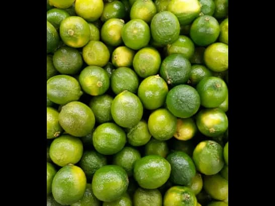 Lime (3)