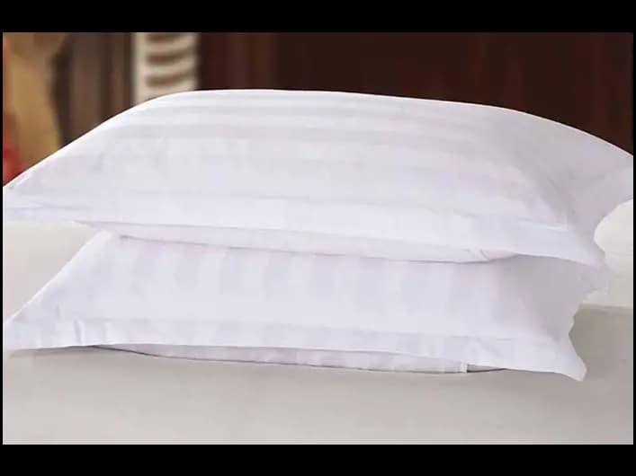 3Q PILLOW COVERS 2PCS PACK(PREMIUM QUALITY)