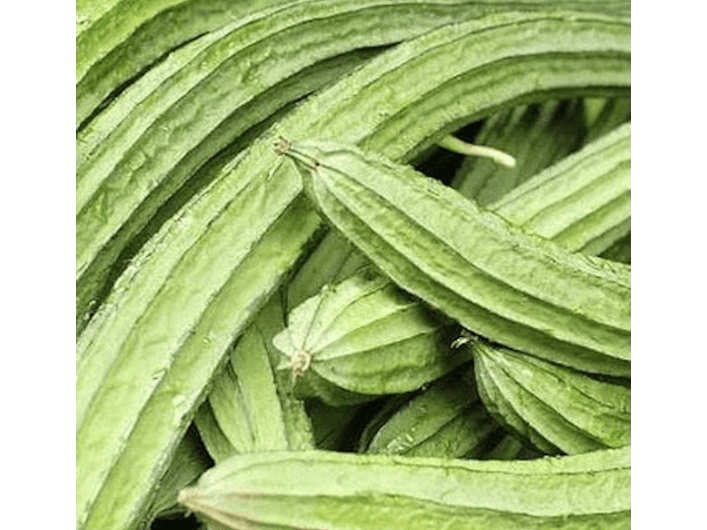 Luffa (5)