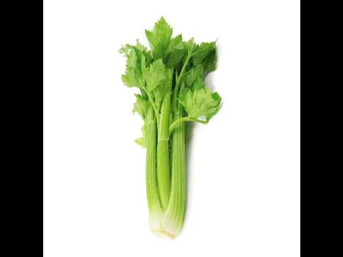 Celery (2)