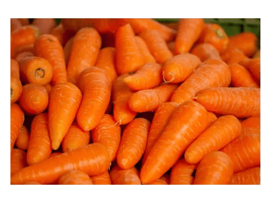 Carrot (3)