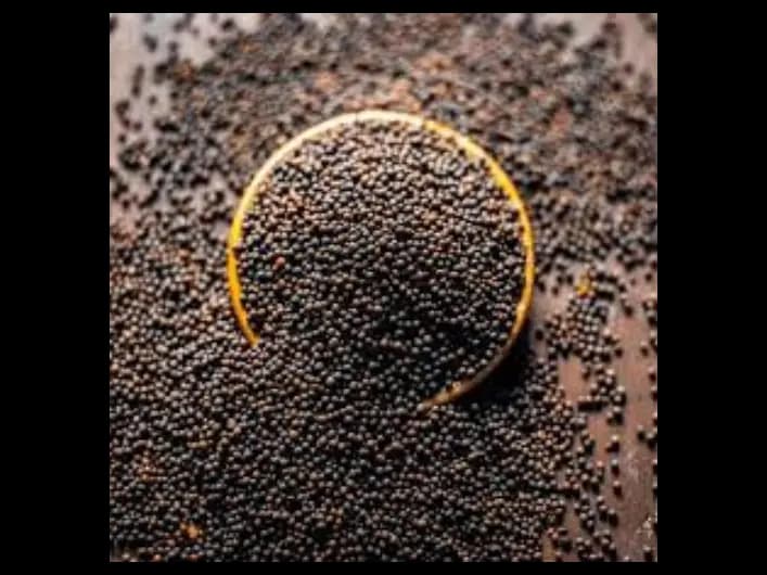 Mustard Seeds -50g (2)