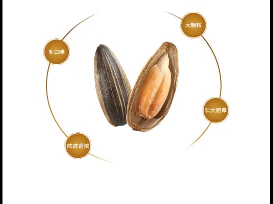 Qiaqia Sunflower Seeds butter honey (4)