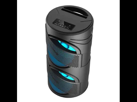 Portable Wireless Speaker with Wired Microphone GTS-1309 - Black