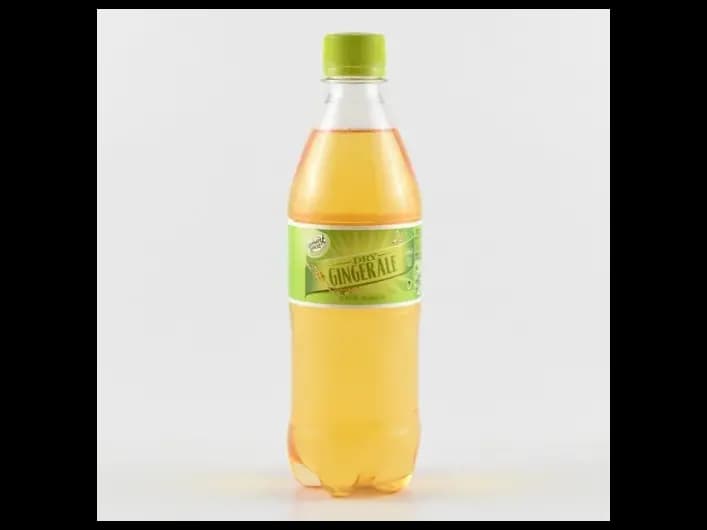 Elephant house dry ginger ale