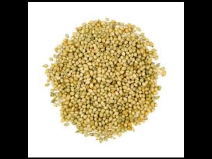 Coriander Seed - 500G