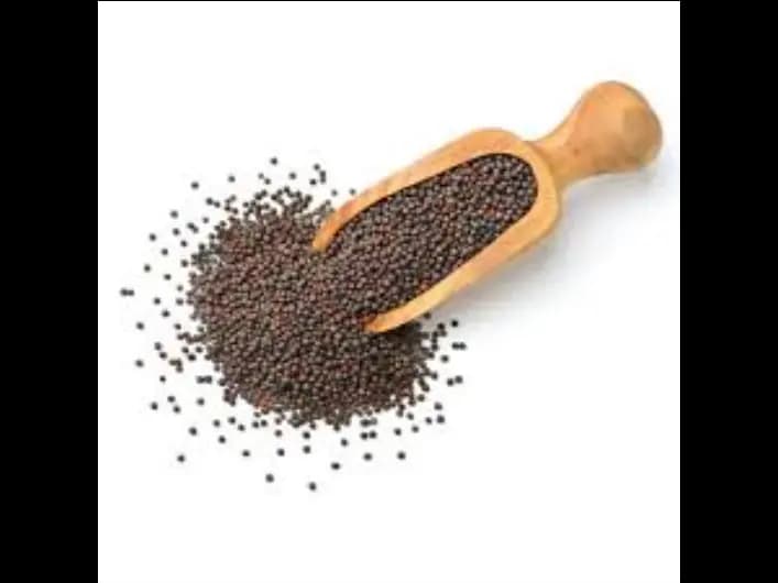 Mustard Seeds -50g