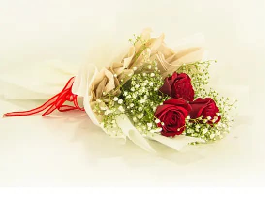 Red 3 Roses Bouquet - MF260