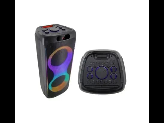Brodu BTS-1829 Bluetooth Karaoke Speaker (3)