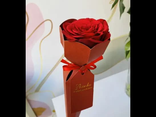 Single Red Rose Flower for Valentine (2)