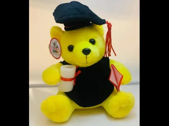 Graduation Teddy Plush Toy - Yellow