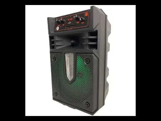 KTS-1631 Wireless Speaker with Wired Microphone (2)