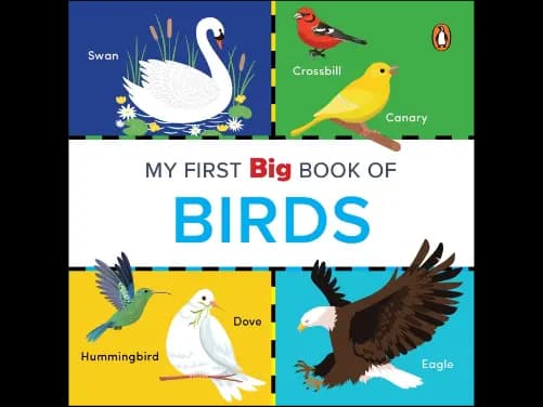 My First Big Book of Birds - 9789815127485