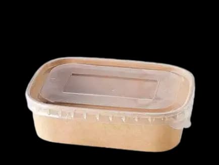 Disposable lunch box