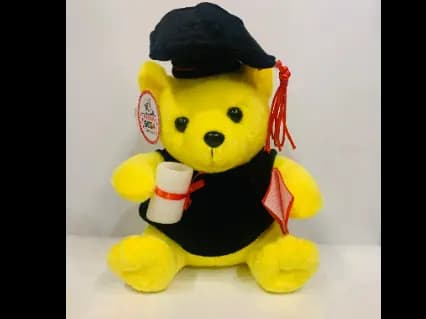Yellow Graduation Teddy Plush Toy
