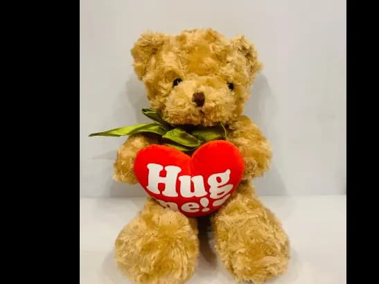 Little Brown Teddy Plush with a Heart