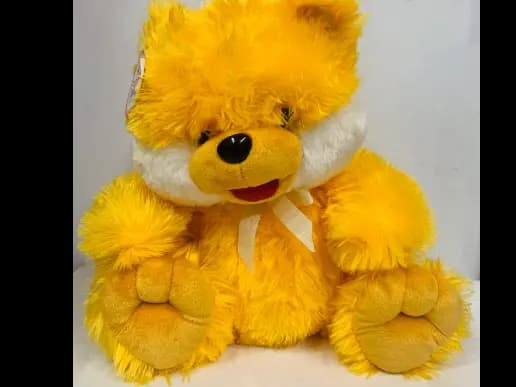 Teddy Bear Plush Toy